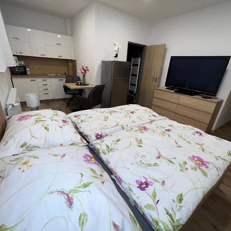 Apartmany U Jelena 1 เชสกี้ครุมลอฟ ภายนอก รูปภาพ
